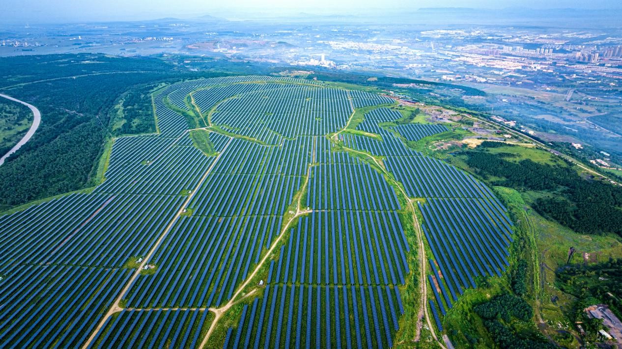 阜新華能午陽(yáng)光伏電站。吳大偉 攝