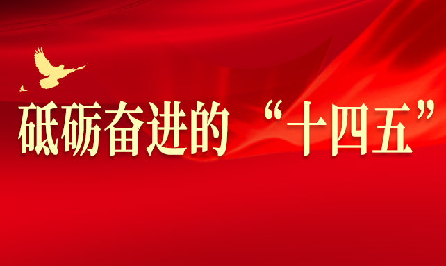 砥礪奮進的 “十四五”
