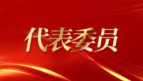 代表委員這一天丨 “村姑書記”上兩會(huì) 進(jìn)京尋找致富經(jīng)